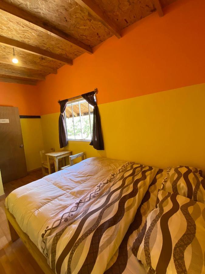 Willhouse Hostel Pucon Bagian luar foto